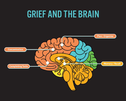 Grief Affects the Body