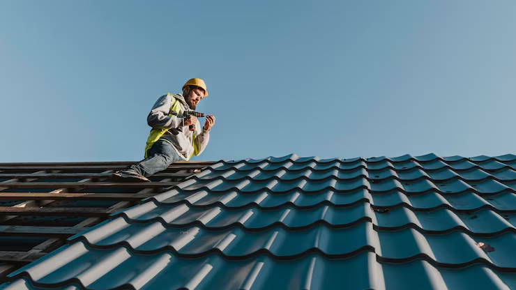 Should Know Before Repairing or Replacing a Roof